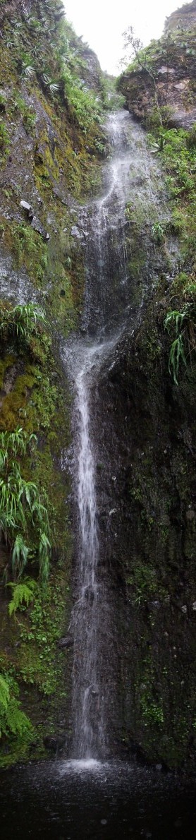 Cascada